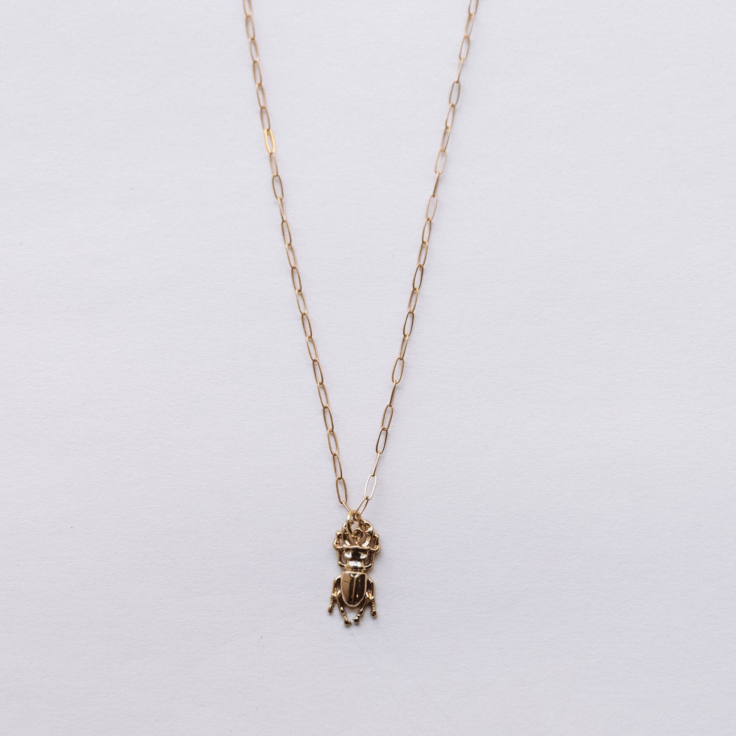 The Scarab Necklace