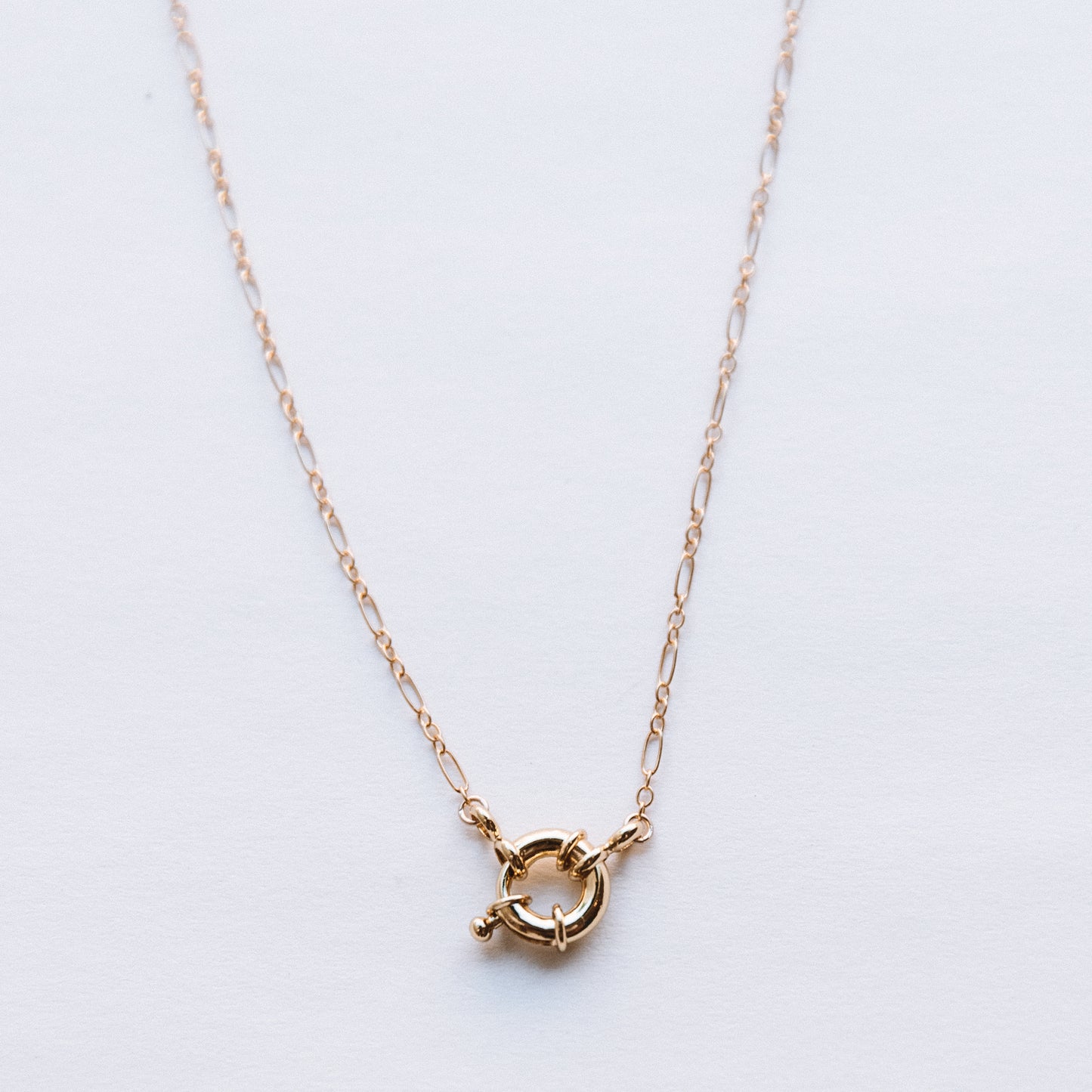 The Mini Clasp Necklace