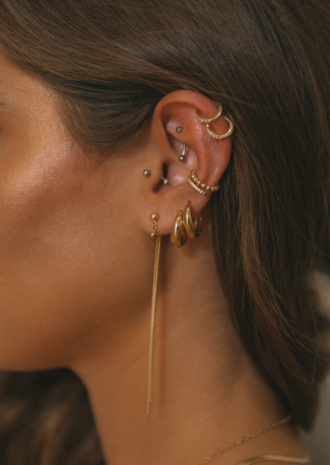 The Backdrop Earring