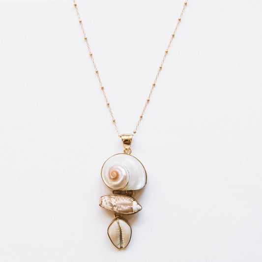 The Sea Of Cortez Shell Necklace