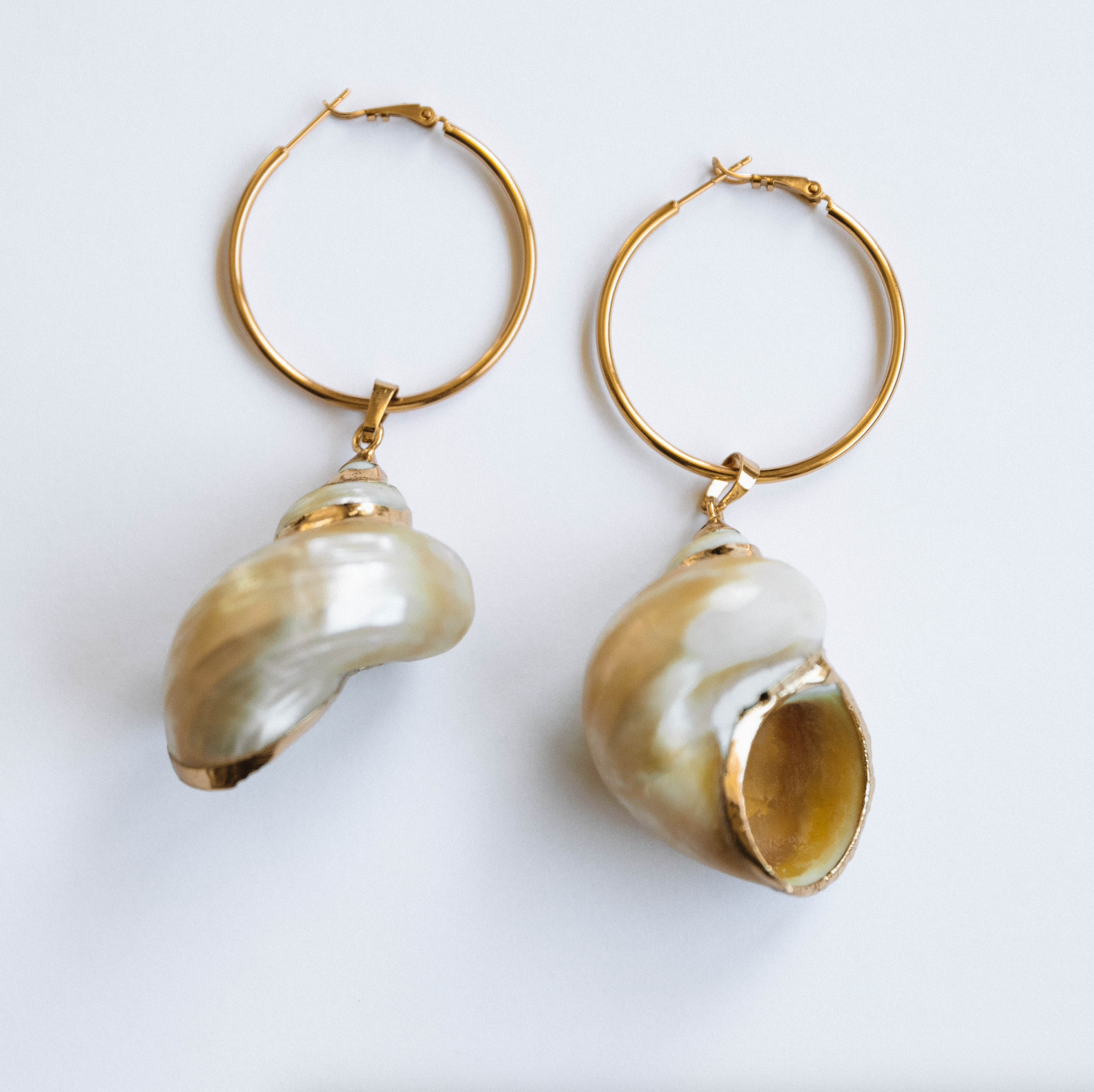 The Maldives Shell Hoops – Jay Nicole Designs