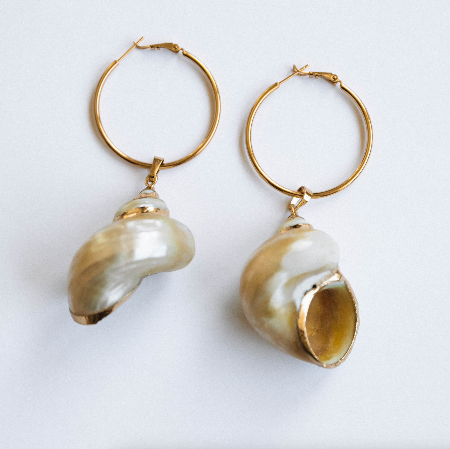 The Maldives Shell Hoops