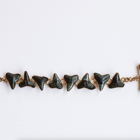 The Shark Teeth Bracelet