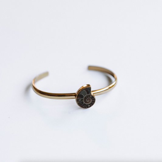The Golden Glow Fossil Shell Bracelet