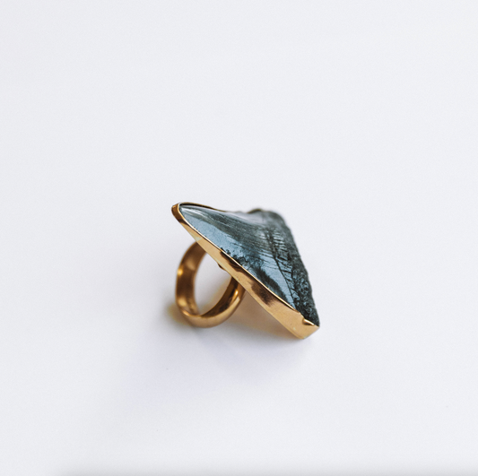 The Shark Tooth Ring