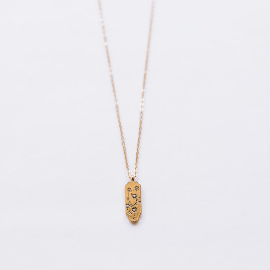 The Zodiac Star Necklace